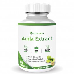 Nutripath Amla Extract 40% -1 Bottle 