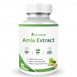 Nutripath Amla Extract 40% -1 Bottle 