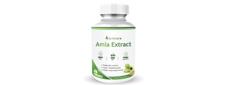 Nutripath Amla Extract 40% -1 Bottle 