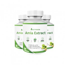 Nutripath Amla Extract 40% - 3 Bottle