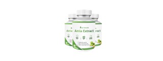 Nutripath Amla Extract 40% - 3 Bottle