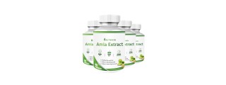 Nutripath Amla Extract 40% -4 Bottle