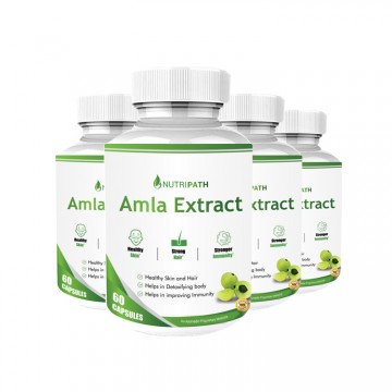 Nutripath Amla Extract 40% -4 Bottle