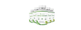 Nutripath Amla Extract 40% - 5 Bottle