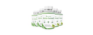 Nutripath Amla Extract 40% - 6 Bottle